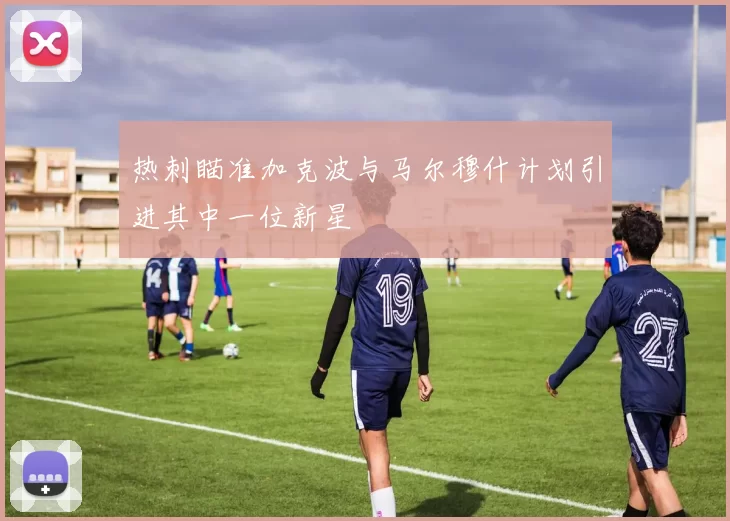 热刺瞄准加克波与马尔穆什计划引进其中一位新星