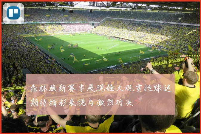 森林狼新赛季展现强大观赏性球迷期待精彩表现与激烈对决