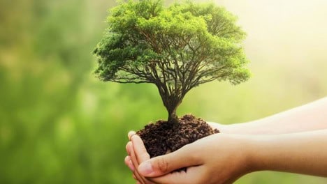 قائمة الذكرى الطيبة